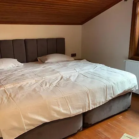 Villa Konak Sapanca *