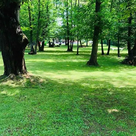 Konak Sapanca